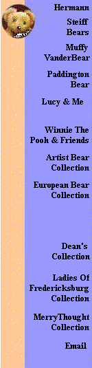 SideBarPeachBlue.gif (5690 bytes)